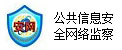 公共信息安全網絡監察